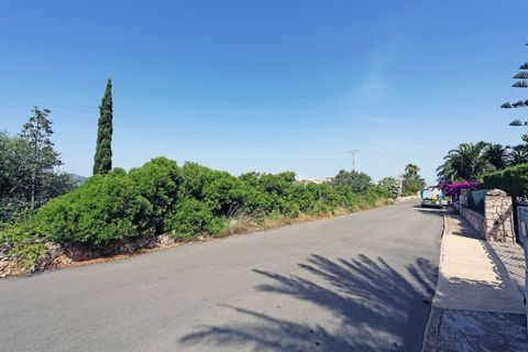 Terra a Denia, Alicante, Denia - € 280.000 | Ref: CB-280-2 - foto 5